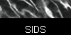  SIDS 